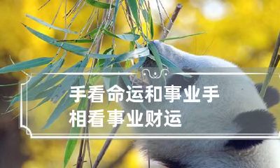 手看命运和事业 手相看事业财运