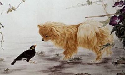 生肖狗男忙碌之余如何讨老婆开心