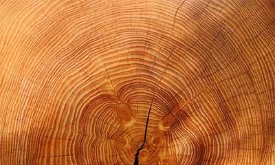 2018年9月1日生的男孩怎么起名？五行属什么呢？