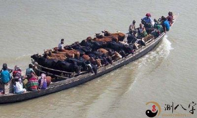 梦到坐小船过河