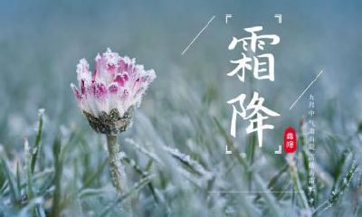 2020年芒种节气几月几日芒种的芒是什么意思？