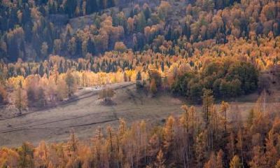 宝宝2018年9月4日出生如何起名？宝宝起名五行怎么看？