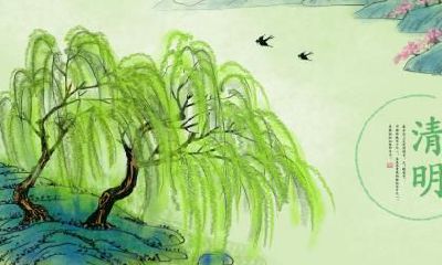 大暑节气出生的生肖牛命运如何，好吗？