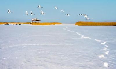 2021年芒种养生要怎么做？芒种节气谚语有哪些？