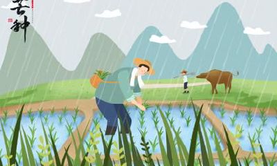 2020年芒种不能做什么？芒种的禁忌是什么？