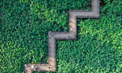 芒种节气简介，2021年芒种节气在农历的几月几日？