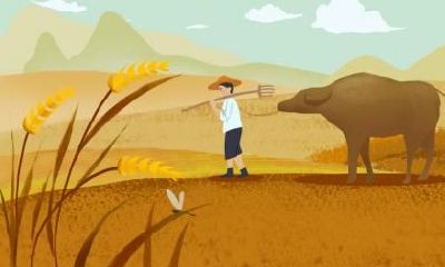 2020年芒种时辰吉凶宜忌，各时辰吉时盘点