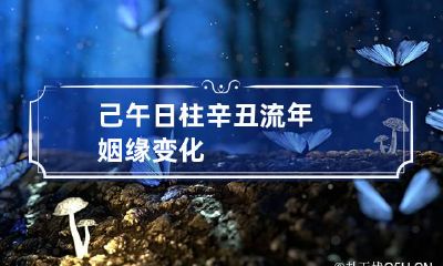 己午日柱 辛丑流年姻缘变化