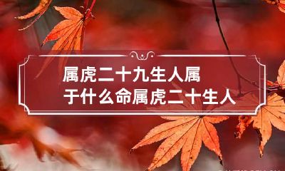 属虎二十九生人属于什么命 属虎二十生人的命运