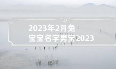 2023年2月兔宝宝名字男宝 2023年兔宝宝起什么名字好