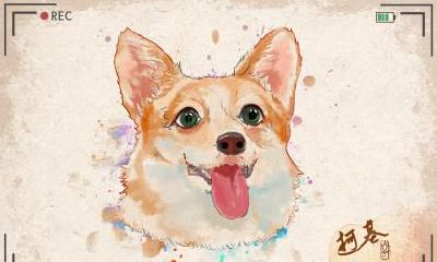 2018狗年白露生男孩八字缺木起名？缺木的宝宝命好吗？