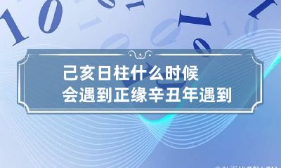 己亥日柱什么时候会遇到正缘 辛丑年遇到正缘的日柱