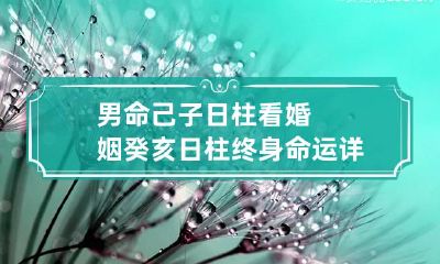 男命己子日柱看婚姻 癸亥日柱终身命运详批
