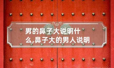 男的鼻子大说明什么,鼻子大的男人说明什么