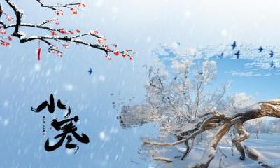 有什么古诗词与芒种节气有关？