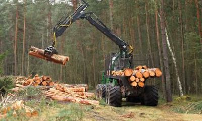 2018年白露出生男孩五行缺金如何起名？起名技巧