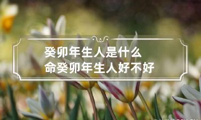 癸卯年生人是什么命 癸卯年生人好不好