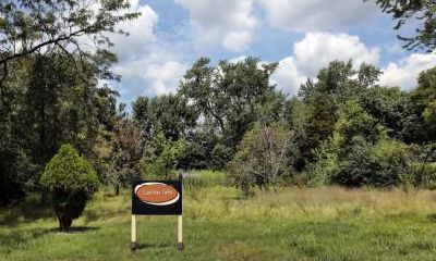 2018年农历八月初三出生女宝宝名字推荐，五行宝宝名字起名