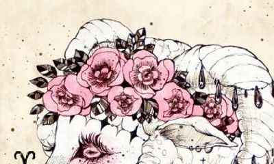 白羊座与处女座配对