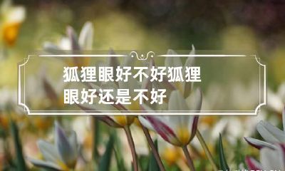 狐狸眼好不好 狐狸眼好还是不好