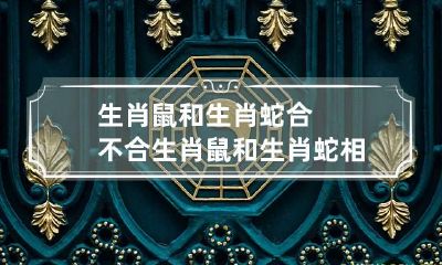 生肖鼠和生肖蛇合不合 生肖鼠和生肖蛇相配吗