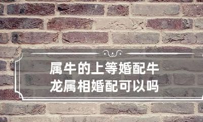 属牛的上等婚配 牛龙属相婚配可以吗