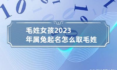 毛姓女孩2023年属兔起名怎么取 毛姓女孩名字大全2020