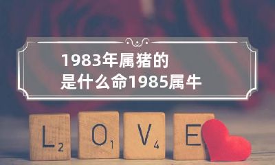 1983年属猪的是什么命 1985属牛的人是什么命