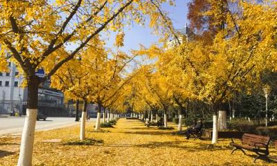 谷雨的养生常识大全！谷雨节气如何养生？