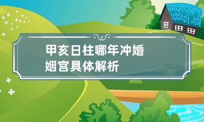 甲亥日柱哪年冲婚姻宫 具体解析