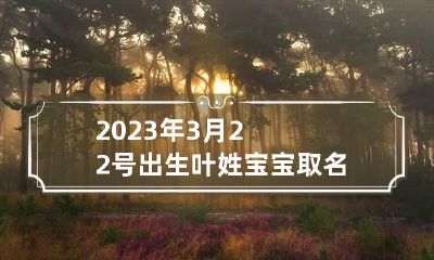 2023年3月22号出生叶姓宝宝取名叫什么