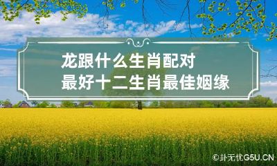 龙跟什么生肖配对最好 十二生肖最佳姻缘配对