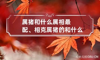 属猪和什么属相最配、相克 属猪的和什么属相最配相克