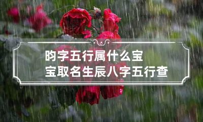 昀字五行属什么 宝宝取名生辰八字五行查询免费