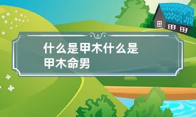 什么是甲木 什么是甲木命男