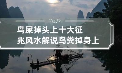 鸟屎掉头上十大征兆 风水解说鸟粪掉身上