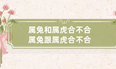 属兔和属虎合不合 属兔跟属虎合不合