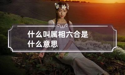 什么叫属相六合是什么意思