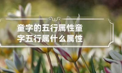 童字的五行属性 童字五行属什么属性