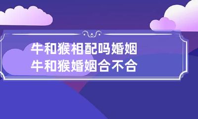 牛和猴相配吗婚姻 牛和猴婚姻合不合
