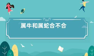 属牛和属蛇合不合