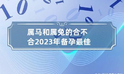 属马和属兔的合不合 2023年备孕最佳月份