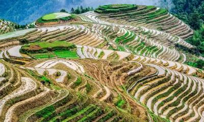 元宵节的别称有哪些？元宵节是中国的情人节吗？