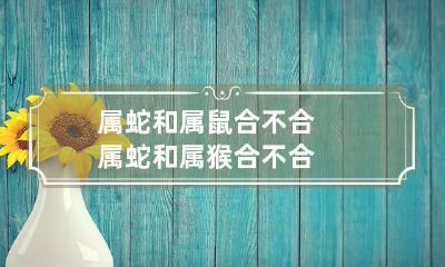 属蛇和属鼠合不合 属蛇和属猴合不合