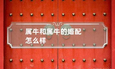 属牛和属牛的婚配怎么样