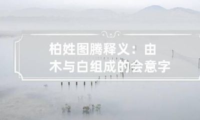 柏姓图腾释义：由木与白组成的会意字