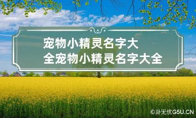 宠物小精灵名字大全 宠物小精灵名字大全集