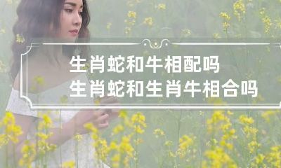 生肖蛇和牛相配吗 生肖蛇和生肖牛相合吗