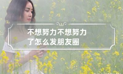 不想努力 不想努力了怎么发朋友圈