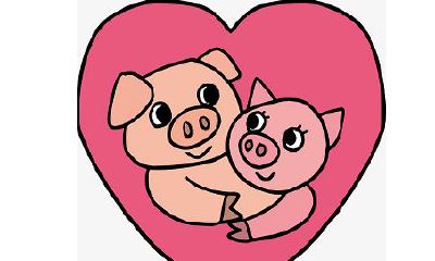 属猪的和什么属相最配，看看你们是否合适